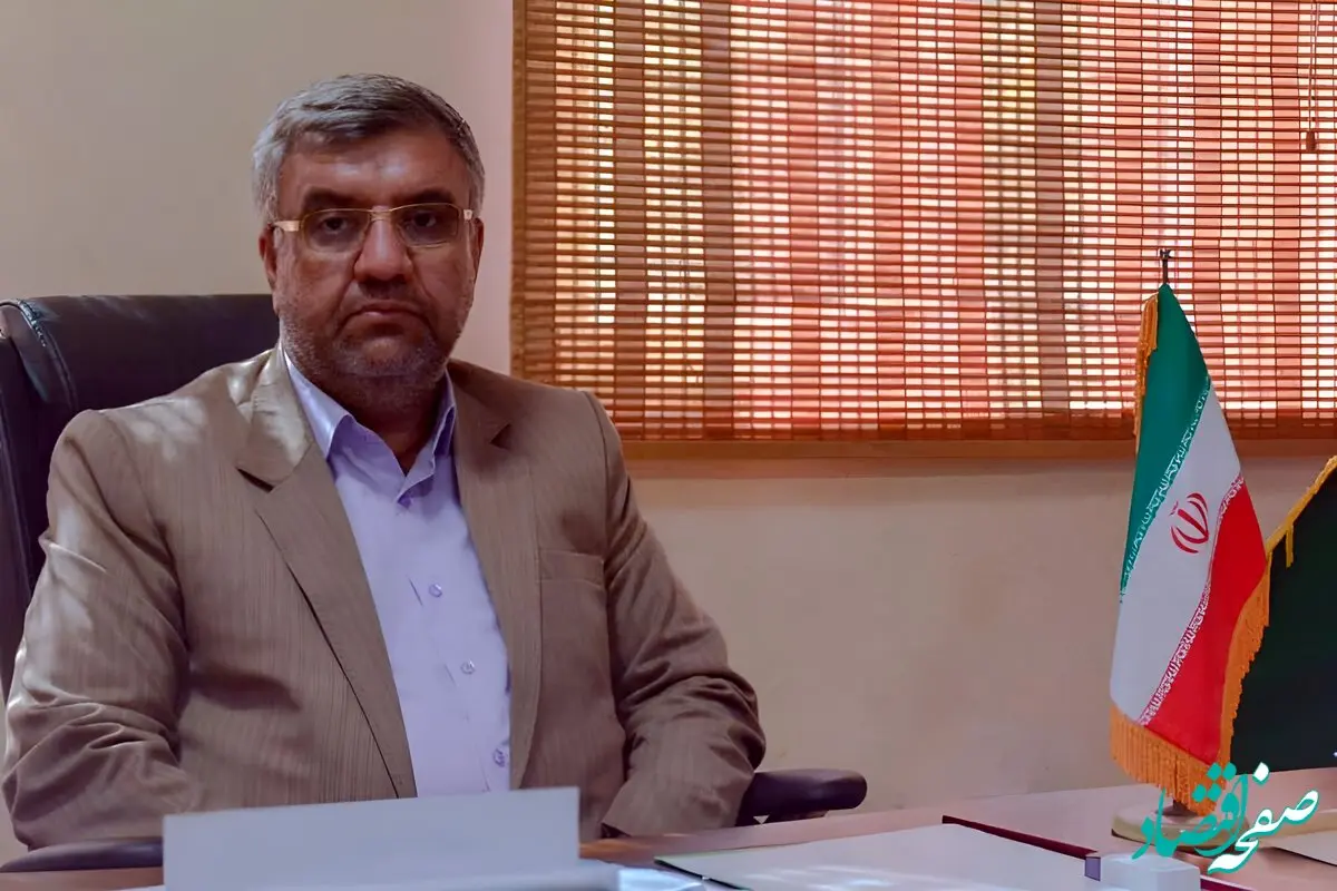 تصمیمات جدید برای واردات گوشت، دسترسی مردم آسان می‌شود