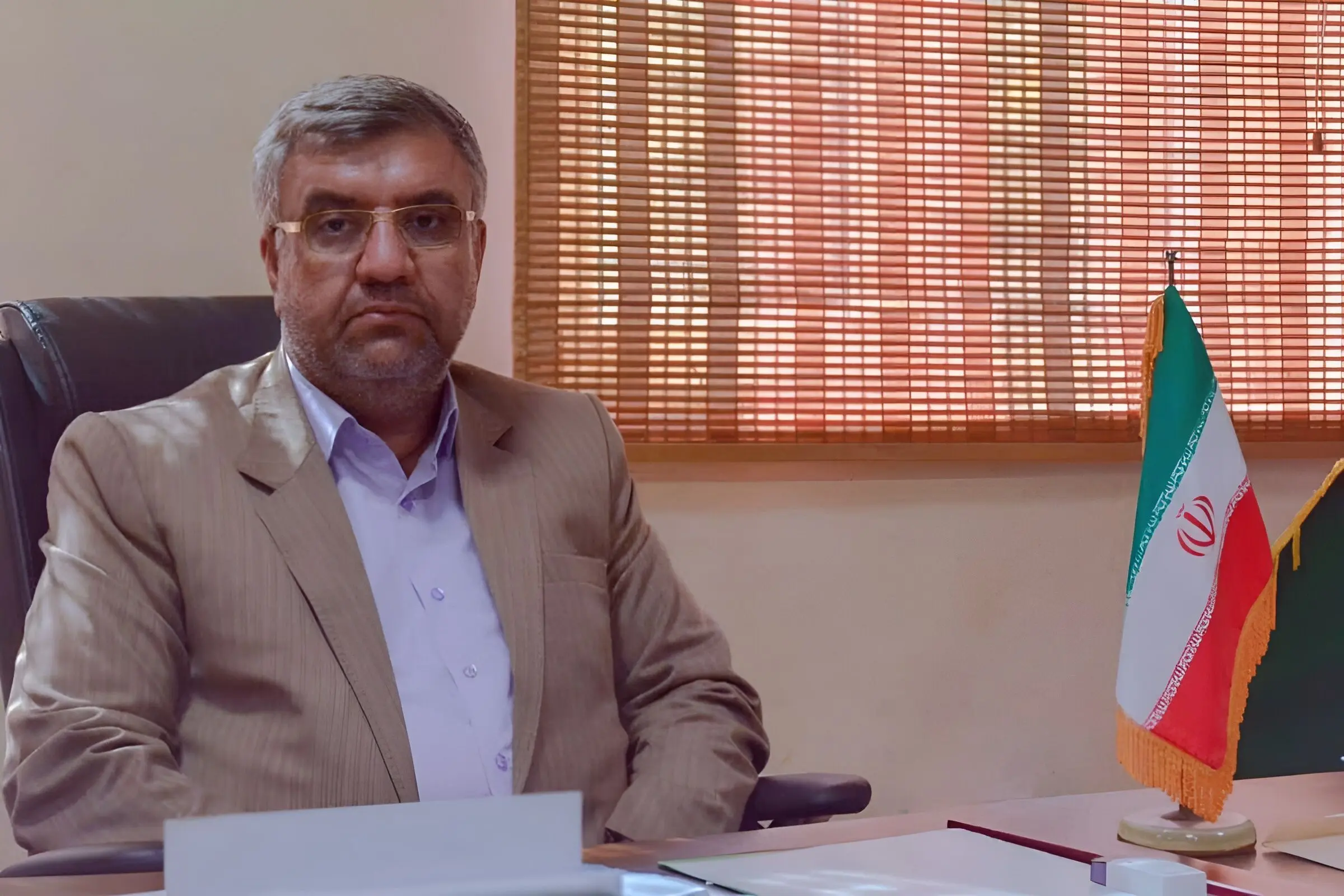 تصمیمات جدید برای واردات گوشت، دسترسی مردم آسان می‌شود