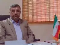 تصمیمات جدید برای واردات گوشت، دسترسی مردم آسان می‌شود