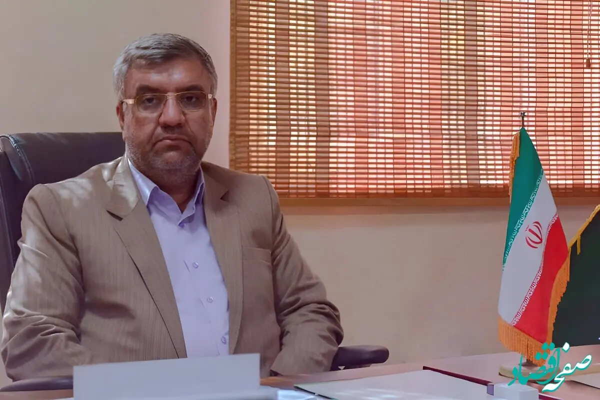 تصمیمات جدید برای واردات گوشت، دسترسی مردم آسان می‌شود