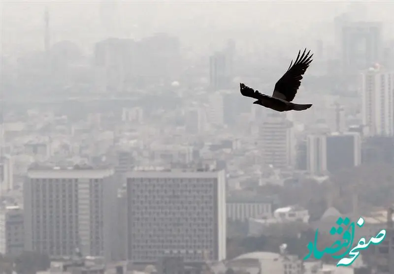 بازار مسکن تهران در رکودی عمیق؛ آشفتگی در آمار قیمت‌ها