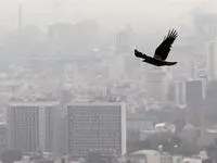 بازار مسکن تهران در رکودی عمیق؛ آشفتگی در آمار قیمت‌ها
