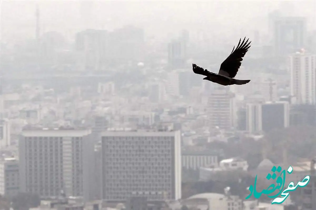 بازار مسکن تهران در رکودی عمیق؛ آشفتگی در آمار قیمت‌ها