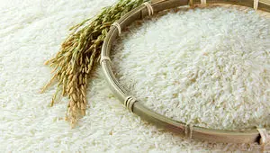 برنج ارزان ایرانی چی بخریم؟/جدیدترین قیمت برنج ایرانی و هندی امروز  سه‌شنبه ۲۱ اسفند ۱۴۰۳