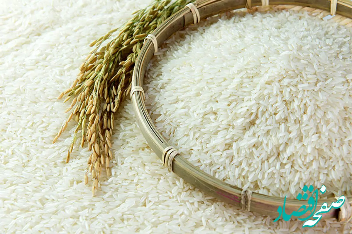 آخرین خبر از قیمت برنج ایرانی امروز | قیمت برنج ایرانی نصف شد