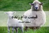 آخرین قیمت دام زنده امروز ۲۳ مرداد / گوسفند کیلویی چقدر شد؟ 