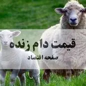 بروزترین قیمت دام زنده امروز دوشنبه ۵ آبان ۱۴۰۴ | +(جدول جدید)