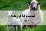افزایش قیمت دام زنده در ۱۰ مهر ۱۴۰۴ تایید شد؛ جزئیات استان به استان