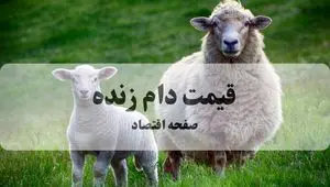 افزایش قیمت دام زنده در ۱۰ مهر ۱۴۰۴ تایید شد؛ جزئیات استان به استان