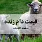 بروزترین قیمت دام زنده امروز شنبه ۱۹ مهر ماه ۱۴۰۴ | نرخ جدید بره نر | قیمت هر کیلو فقط ۳۲۰ هزار تومان