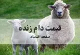 جدیدترین قیمت دام زنده امروز ۹ مرداد ۱۴۰۵ | گوساله کیلویی چقدر شد؟