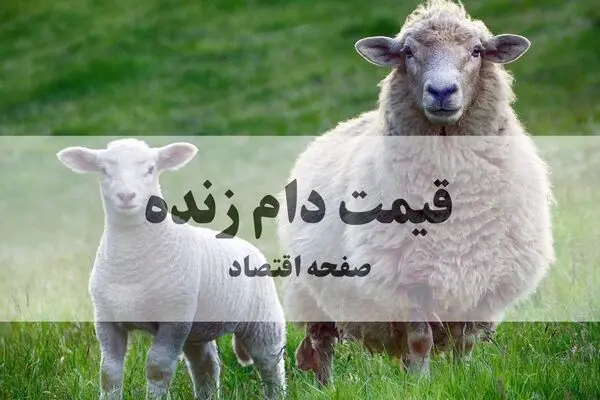 آخرین قیمت دام زنده امروز جمعه ۲۷ شهریور + پیش بینی و جدول قیمت