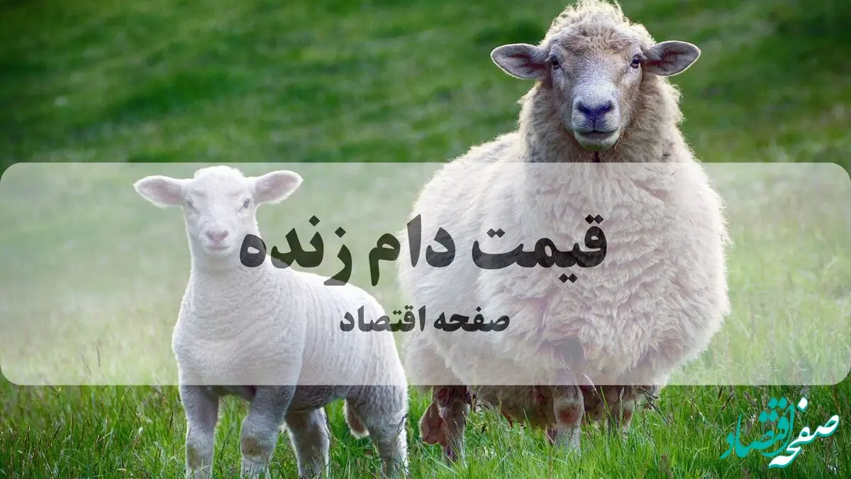 قیمت دام زنده امروز چهارشنبه ۳۰ اردیبهشت