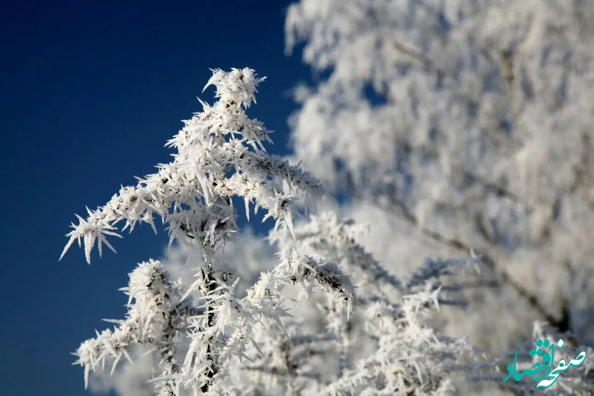 فوری؛ شعب کشیک بانکهای خراسان رضوی در روزهای تعطیل و برفی اعلام شد + جزئیات