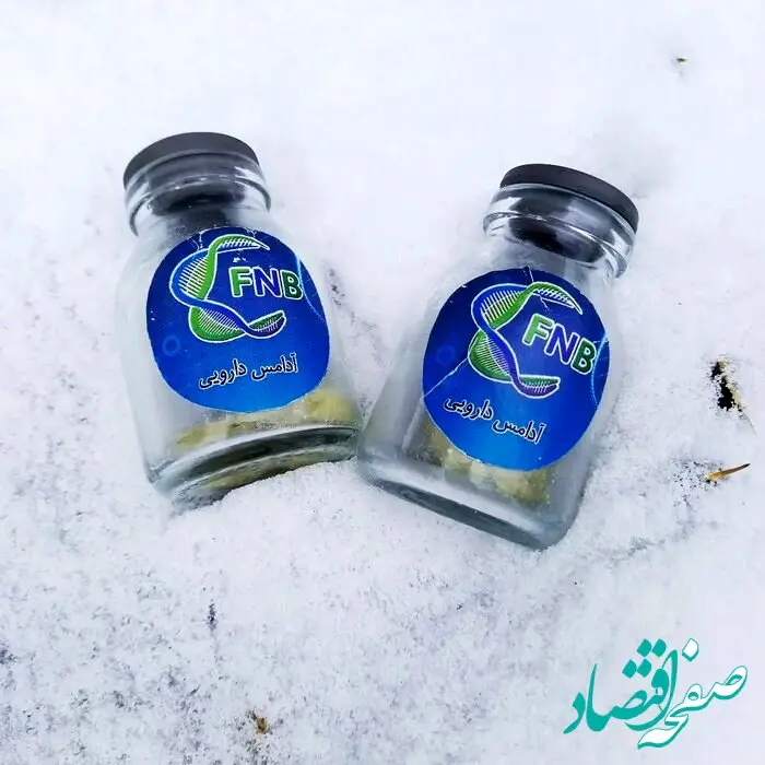 درمان آلزایمر با آدامس و آبنبات