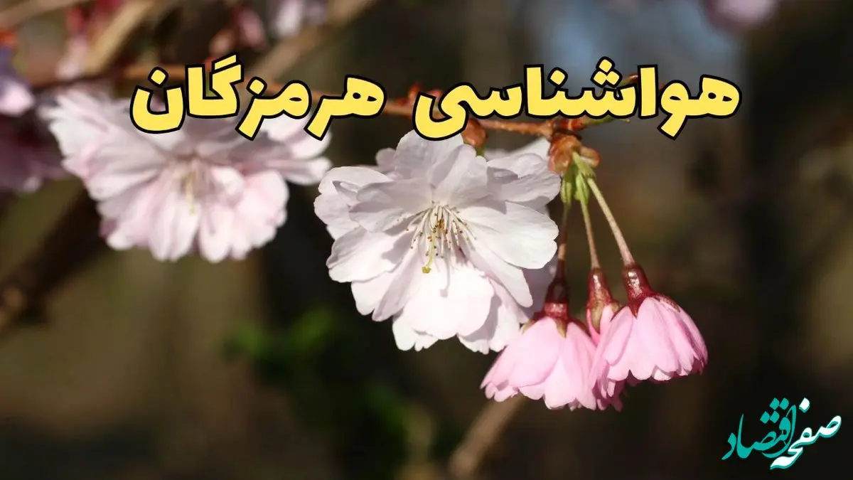 پیش بینی هواشناسی بندرعباس ۲۴ ساعت آینده | وضعیت آب و هوا هرمزگان فردا سه شنبه ۱۲ فروردین ماه ۱۴۰۴ | آب و هوای بندرعباس در روز ۱۳ بدر + هواشناسی هرمزگان