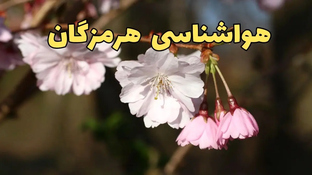 پیش بینی هواشناسی بندرعباس ۲۴ ساعت آینده | وضعیت آب و هوا هرمزگان فردا سه شنبه ۱۲ فروردین ماه ۱۴۰۴ | آب و هوای بندرعباس در روز ۱۳ بدر + هواشناسی هرمزگان