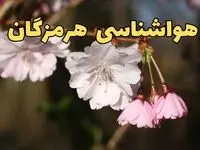 پیش بینی هواشناسی بندرعباس ۲۴ ساعت آینده | وضعیت آب و هوا هرمزگان فردا سه شنبه ۱۲ فروردین ماه ۱۴۰۴ | آب و هوای بندرعباس در روز ۱۳ بدر + هواشناسی هرمزگان