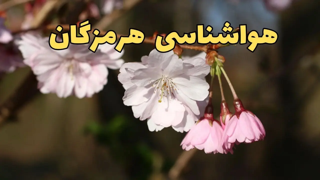 پیش بینی هواشناسی بندرعباس ۲۴ ساعت آینده | وضعیت آب و هوا هرمزگان فردا سه شنبه ۱۲ فروردین ماه ۱۴۰۴ | آب و هوای بندرعباس در روز ۱۳ بدر + هواشناسی هرمزگان