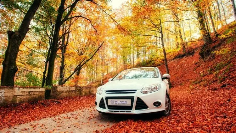 امکان ثبت آنلاین خسارت برای بیمه‌گزاران تجارت‌نو فعال شد