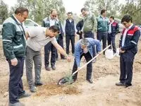 مدیران و کارکنان شرکت فولاد آلیاژی ایران نهال غرس کردند