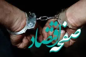 فروش اسلحه در تهران | دستگیری ۲ شرور در تهران با ۱۴ قبضه سلاح گرم