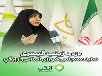 مجلس و دولت باید حامی پیام‌رسان های داخلی باشند