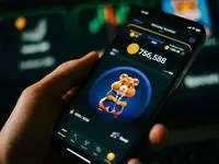 کد مورس همستر کامبت امروز دوشنبه ۲۸ خرداد ۱۴۰۳