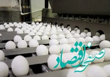 تخم‌مرغ امروز چند؟/گزارش روزانه بازار تخم‌ مرغ امروز دوشنبه ۱۳ اسفند ۱۴۰۳