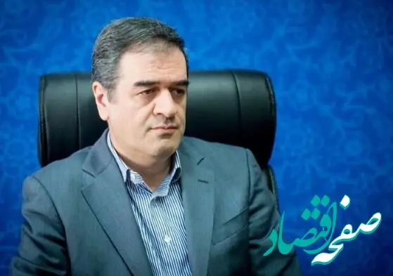 بیمه های بین المللی سهم اندکی در خسارتهای حوادث اخیر داشتند