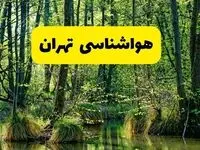 هواشناسی تهران طی ۲۴ ساعت آینده | پیش بینی وضعیت آب و هوا تهران فردا دوشنبه ۲۹ اردیبهشت ۱۴۰۴