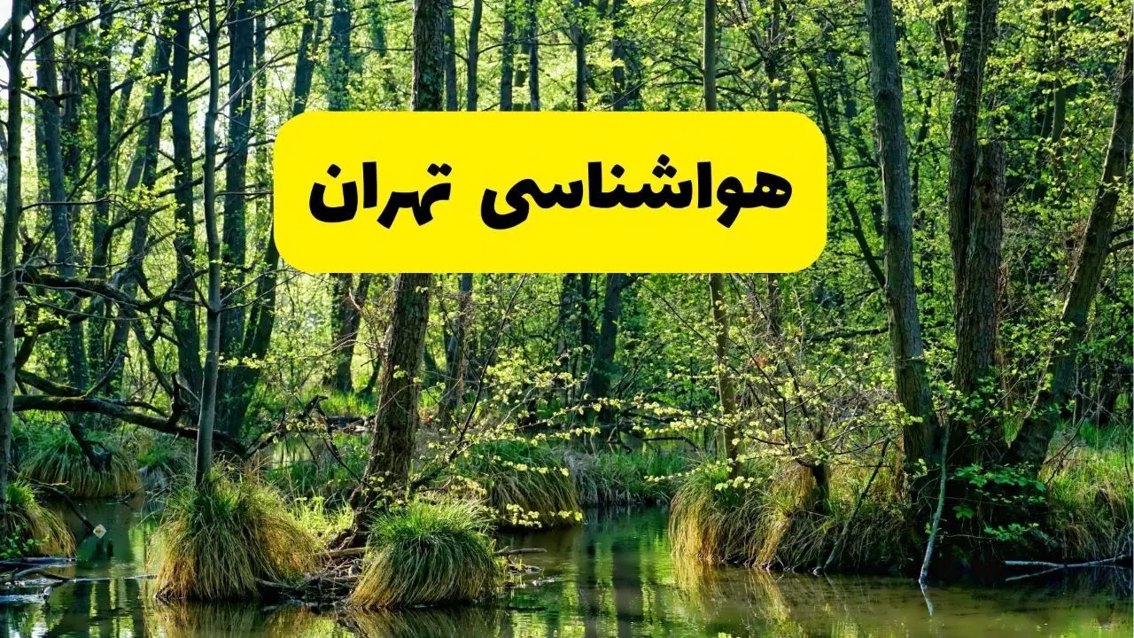 هواشناسی تهران طی ۲۴ ساعت آینده | پیش بینی وضعیت آب و هوا تهران فردا دوشنبه ۲۹ اردیبهشت ۱۴۰۴