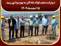 بهره برداری  فاز یک پروژه احداث جنگل و فضای سبز در شرکت صنعت فولاد شادگان 

