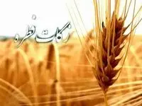 احکام و مبلغ زکات فطریه در سال ۱۴۰۵ | زکات فطریه مهمان بر عهده چه کسی است؟