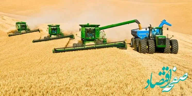 بلاتکلیفی قیمت گندم همچنان ادامه دارد / چه خبر از قیمت گندم؟ 