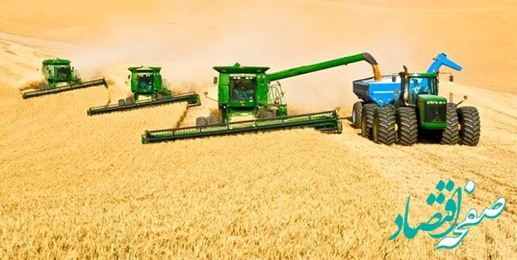 بلاتکلیفی قیمت گندم همچنان ادامه دارد / چه خبر از قیمت گندم؟ 