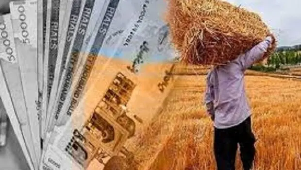 ۱۸۰ همت بدهی به گندمکاران باقی ماند/  دولت باید خسارت دیرکرد بدهد