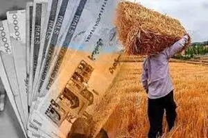۱۸۰ همت بدهی به گندمکاران باقی ماند/  دولت باید خسارت دیرکرد بدهد