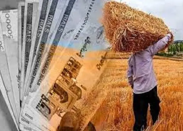 ۱۸۰ همت بدهی به گندمکاران باقی ماند/  دولت باید خسارت دیرکرد بدهد