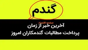 آخرین خبر از پرداخت مطالبات گندمکاران امروز ۶ مهر ماه ۱۴۰۳ | چند درصد مطالبات گندمکاران پرداخت نشد؟ 