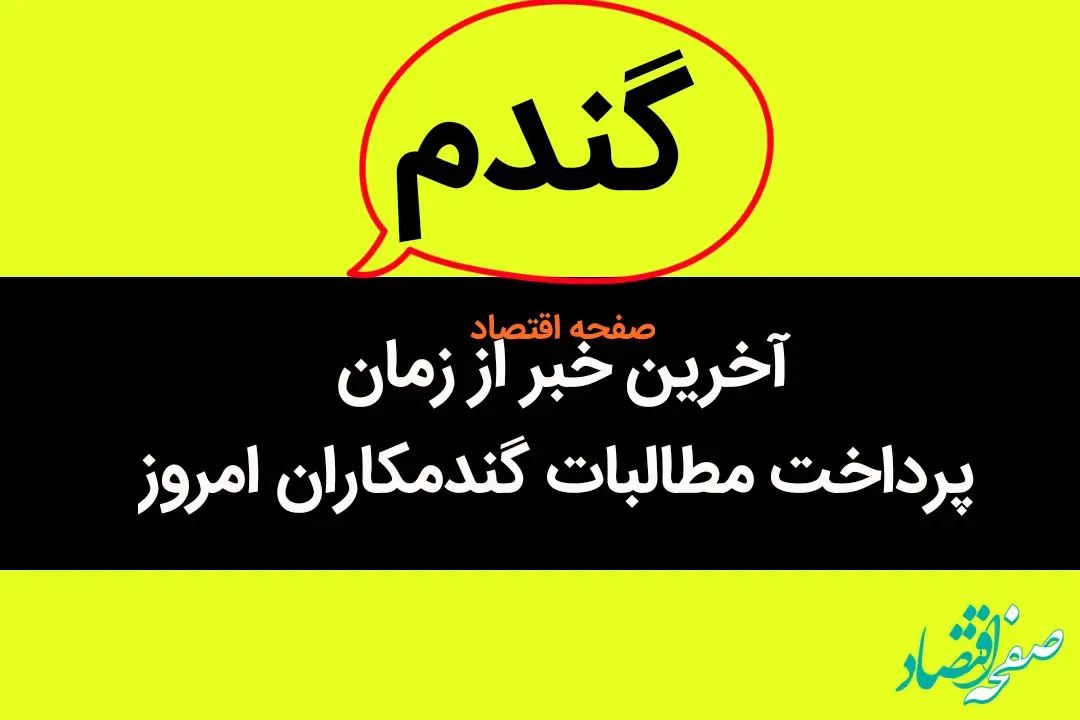آخرین خبر از پرداخت مطالبات گندمکاران امروز ۶ مهر ماه ۱۴۰۳ | چند درصد مطالبات گندمکاران پرداخت نشد؟ 