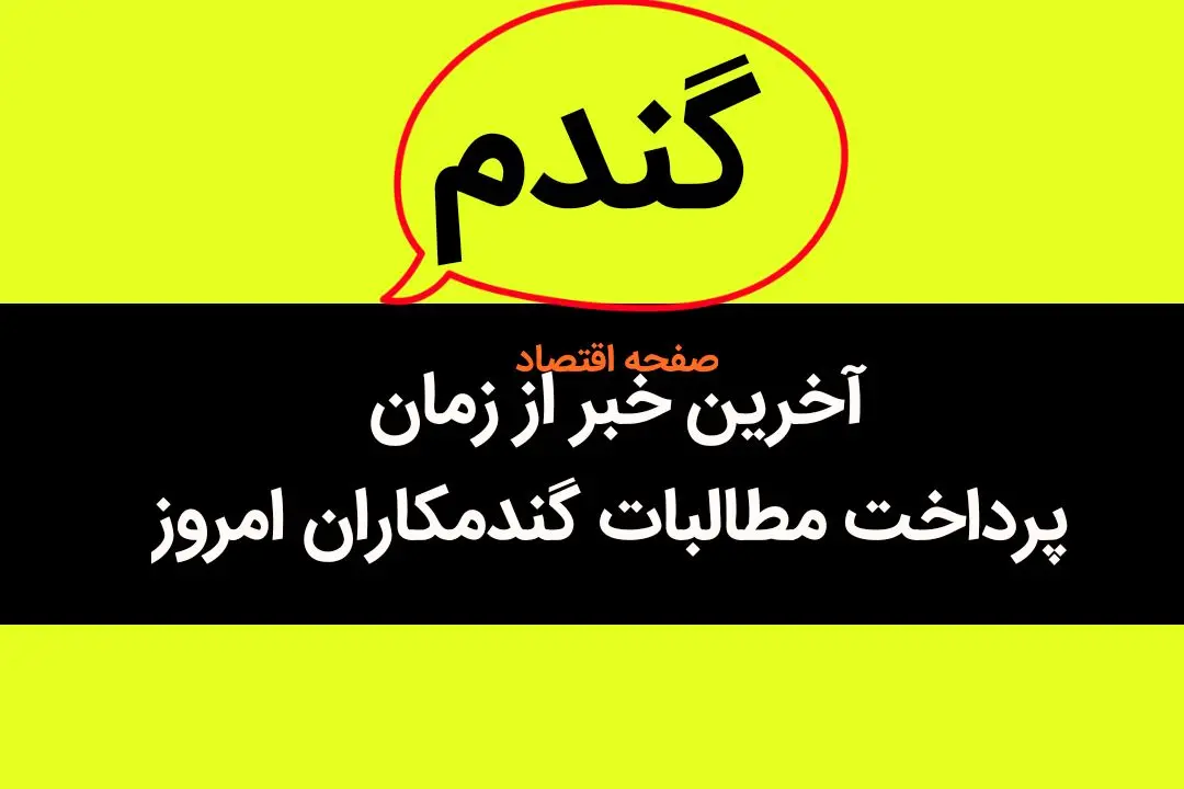 آخرین خبر از پرداخت مطالبات گندمکاران امروز ۶ مهر ماه ۱۴۰۳ | چند درصد مطالبات گندمکاران پرداخت نشد؟ 