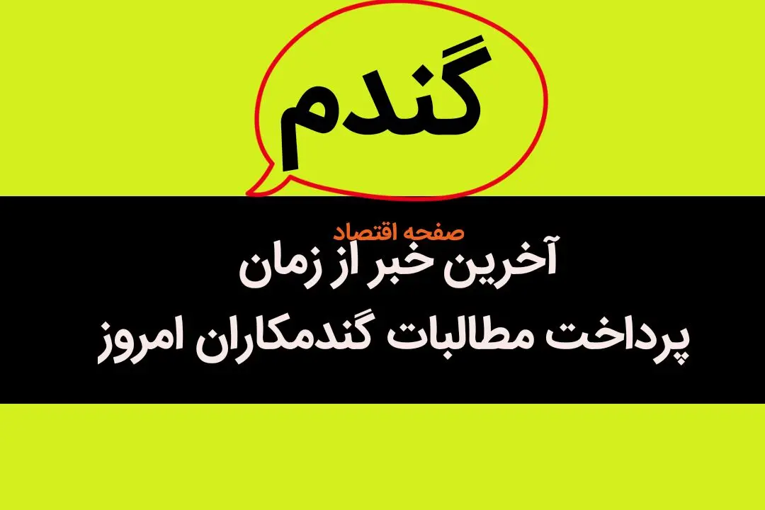 آخرین خبر از پرداخت مطالبات گندمکاران امروز ۶ مهر ماه ۱۴۰۳ | چند درصد مطالبات گندمکاران پرداخت نشد؟ 
