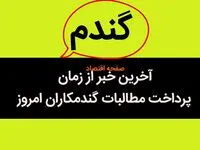 آخرین خبر از پرداخت مطالبات گندمکاران امروز ۶ مهر ماه ۱۴۰۳ | چند درصد مطالبات گندمکاران پرداخت نشد؟ 