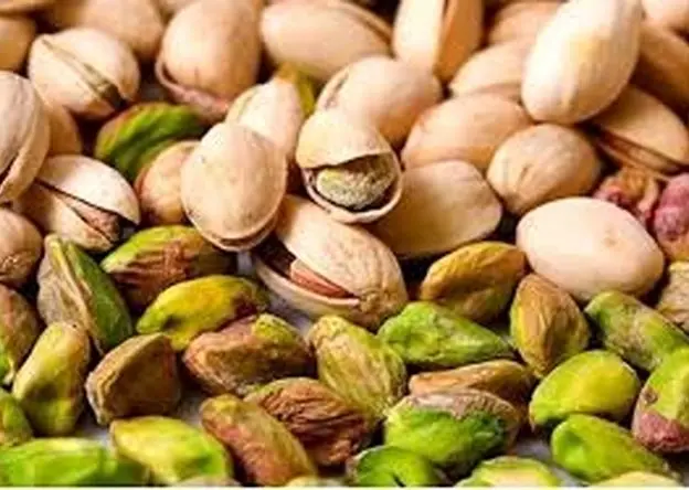  آیا پسته ایران در سال ۱۴۰۴ به بحران می‌خورد؟ | پسته ایران در سال ۱۴۰۴؛ از زمین تا صادرات، چه سرنوشتی در انتظار است؟