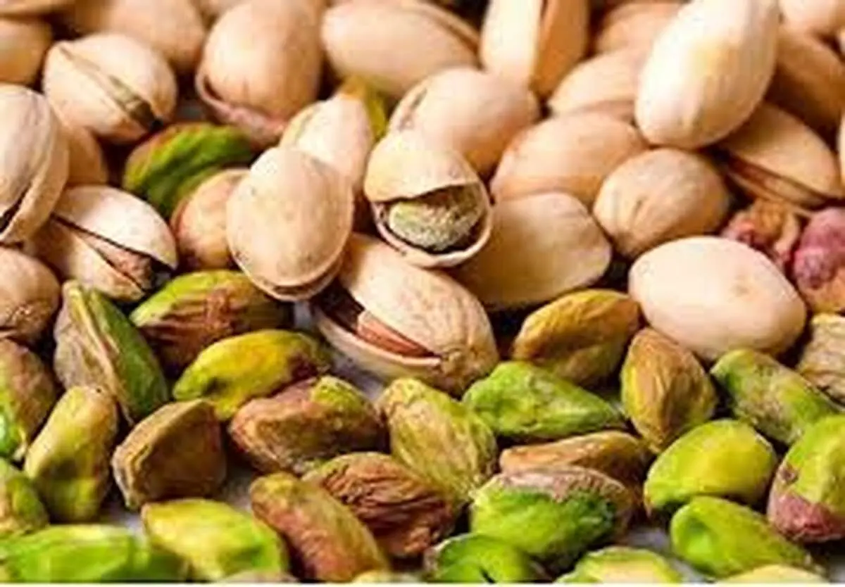  آیا پسته ایران در سال ۱۴۰۴ به بحران می‌خورد؟ | پسته ایران در سال ۱۴۰۴؛ از زمین تا صادرات، چه سرنوشتی در انتظار است؟