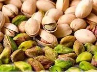  آیا پسته ایران در سال ۱۴۰۴ به بحران می‌خورد؟ | پسته ایران در سال ۱۴۰۴؛ از زمین تا صادرات، چه سرنوشتی در انتظار است؟