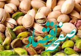  آیا پسته ایران در سال ۱۴۰۴ به بحران می‌خورد؟ | پسته ایران در سال ۱۴۰۴؛ از زمین تا صادرات، چه سرنوشتی در انتظار است؟