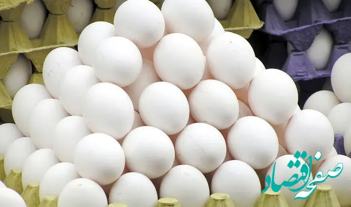 هر کیلو تخم مرغ را بیشتر از این قیمت نخرید 