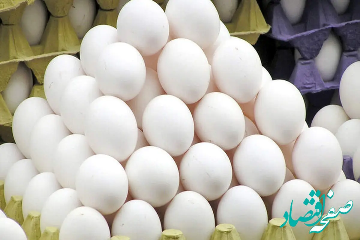 هر کیلو تخم مرغ را بیشتر از این قیمت نخرید 